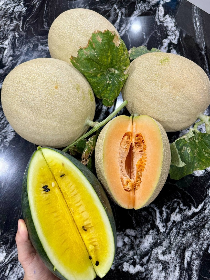 Đối với gia đình anh, khu vườn không chỉ đơn thuần là nơi cung cấp rau trái mà còn là không gian thư giãn lý tưởng để tái tạo năng lượng sau những giờ làm việc căng thẳng. Đây cũng là môi trường giáo dục trực quan sinh động, giúp các con khám phá thiên nhiên và học cách lao động thông qua những việc nhỏ như tưới cây hay thu hoạch rau quả cùng ba.
