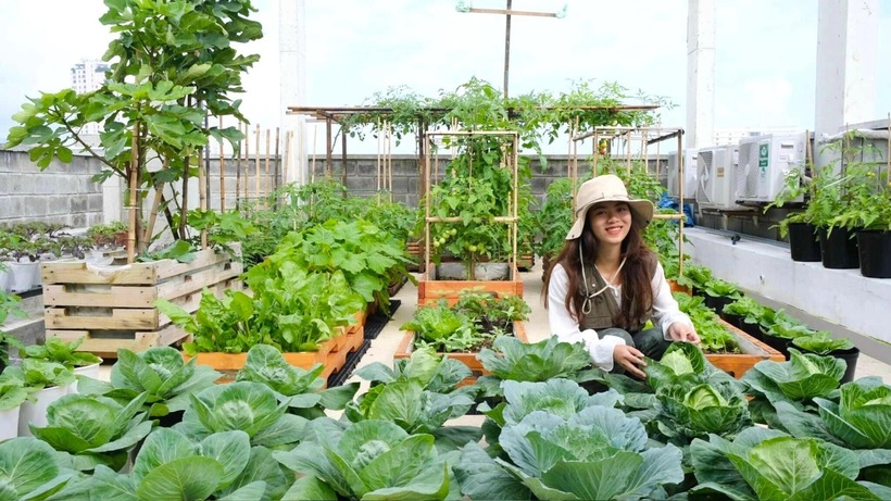 Chủ nhân của khu vườn ấn tượng này là chị Lê Thị Ánh Minh, 34 tuổi, hiện đang sinh sống tại Đà Nẵng. Bén duyên với công việc làm nông trên phố từ năm 2019, chị Minh bắt đầu từ một góc sân nhỏ với mục tiêu đơn giản là tự túc rau sạch.