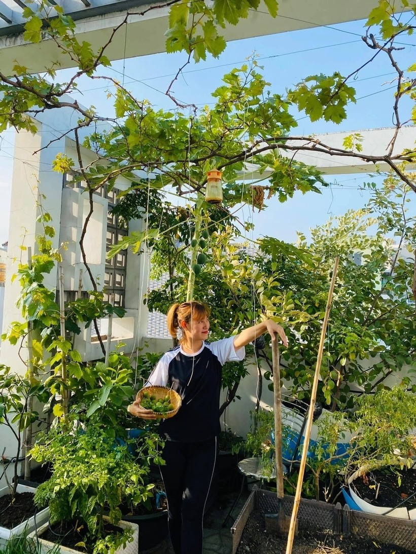 Sinh ra và lớn lên giữa lòng TP.HCM nhộn nhịp, chị Trân vốn dĩ là một người con của phố thị, nhưng từ lâu chị đã tự nhận mình là một "người nông dân chính hiệu" ngay trên chính sân thượng của gia đình.