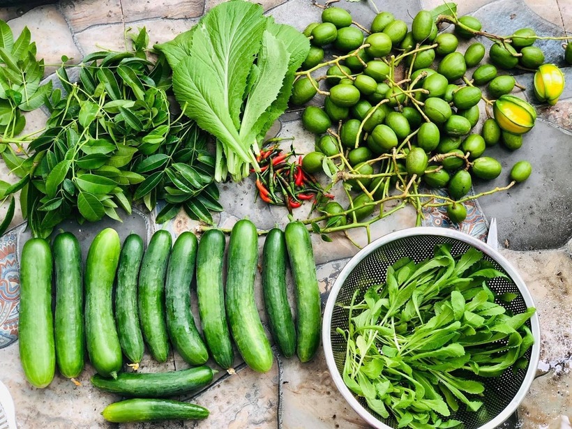 Với bàn tay khéo léo và niềm đam mê mãnh liệt, chị đã biến khoảng không gian trống phía trên mái nhà thành một vườn rau sạch xanh mướt, mang lại nguồn thực phẩm an toàn và bầu không khí trong lành giữa trung tâm thành phố chật chội.