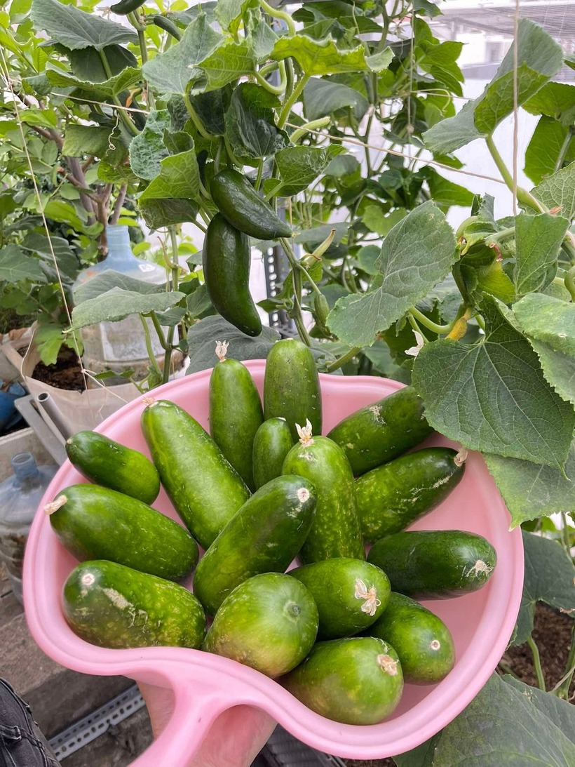 Chị tâm sự rằng niềm hạnh phúc lớn nhất của gia đình chính là tạo dựng được một khoảng không gian xanh mát ngay tại nơi mình sinh sống, giúp mọi người có những giây phút thư giãn, quây quần bên nhau sau những giờ làm việc căng thẳng.