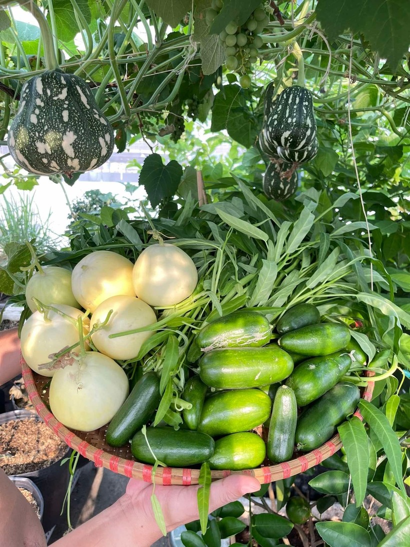Đặc biệt là vào những lúc ngại đi chợ hoặc trong quá trình nấu nướng cần thêm vài nhành rau gia vị, chị chỉ cần bước lên sân thượng là đã có ngay mọi thứ mình cần, giúp bữa cơm gia đình thêm trọn vẹn và đậm đà hương vị tự nhiên.