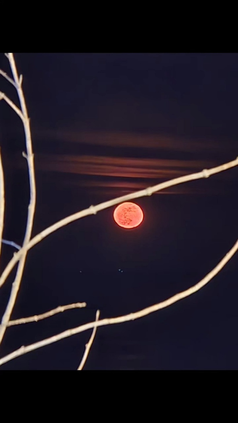 Bài đăng về “trăng máu” của Jung Eun Woo