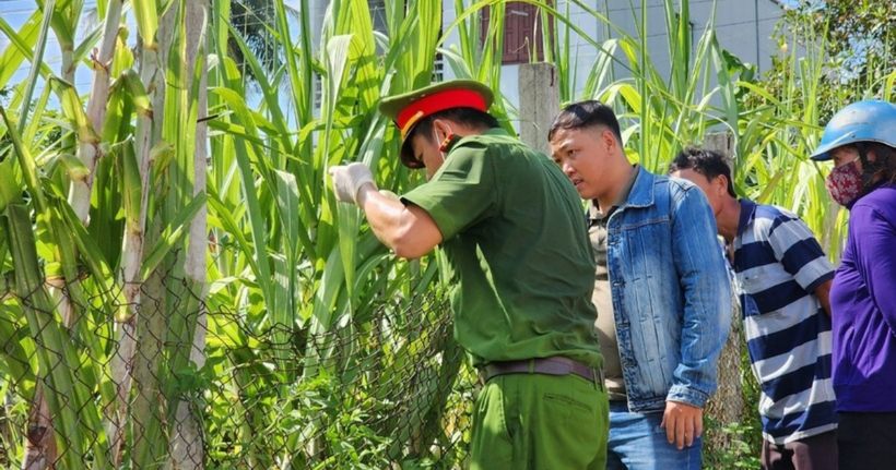 Ảnh minh họa.