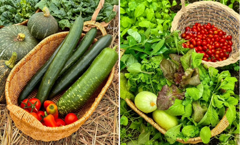 "Căn gác chữa lành" giờ đây đã trở thành nơi kết nối các thành viên, nơi anh chị cùng con cái quây quần bên nhau mỗi ngày.