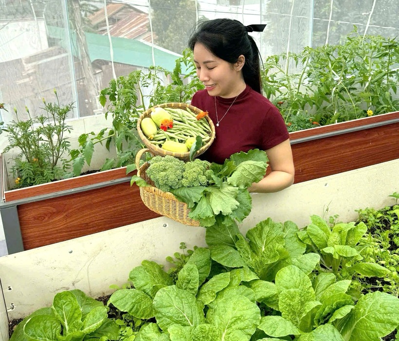 Qua quá trình đổ mồ hôi trên gác mái, chị Vy không chỉ thấu hiểu được nỗi vất vả của cha mẹ ngày trước mà còn học được sự kiên nhẫn, biết trân quý từng cọng rau, quả cà chua do chính tay mình tạo ra.