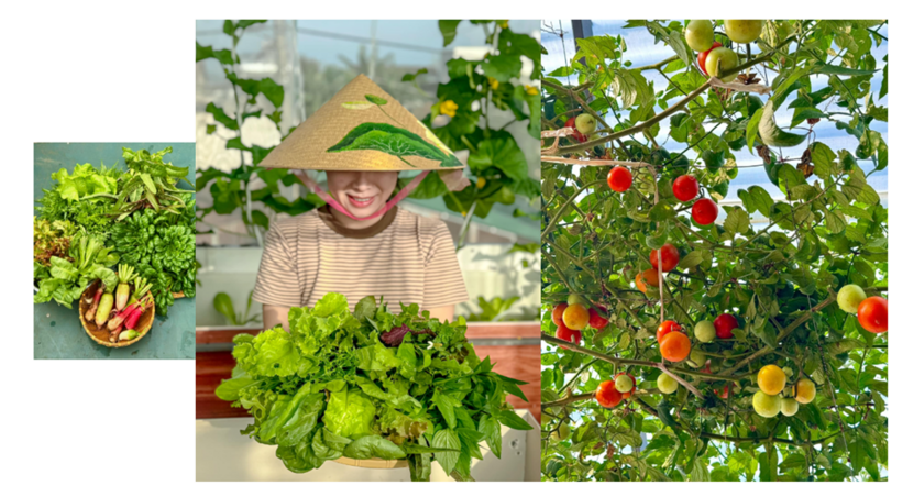 Để hiện thực hóa ước mơ, cuối năm ngoái, anh chị đã đầu tư khoảng 50 triệu đồng để xây dựng căn gác mái kiên cố phía trên sân để xe. Anh Huy trực tiếp đảm nhận việc thi công từ khung sắt, cầu thang đến mái che và lưới quây để tối ưu hóa diện tích trồng trọt.