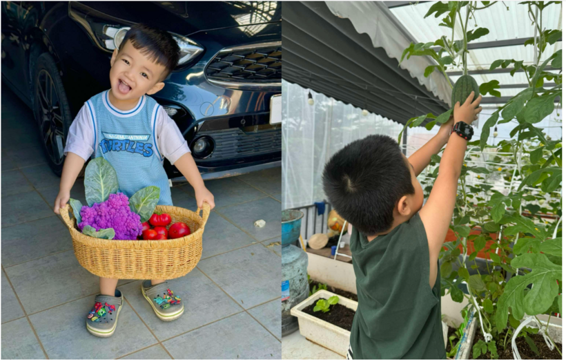 Khu vườn nhỏ không chỉ mang lại giá trị vật chất mà còn là liều thuốc tinh thần vô giá, giúp gia đình chị tìm thấy sự bình yên giữa nhịp sống hối hả.