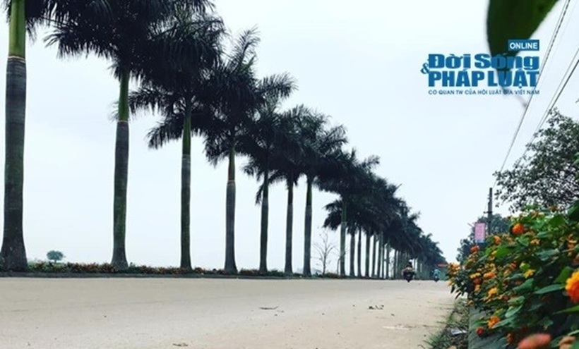 Đường vào làng Mộ Trạch.