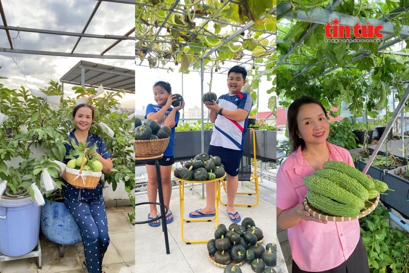 Từ một khoảng sân phơi đơn điệu, chị đã viết nên câu chuyện về lối sống xanh đầy cảm hứng, khẳng định rằng chỉ cần có tình yêu và sự kiên trì, con người hoàn toàn có thể kiến tạo nên một ốc đảo bình yên ngay giữa lòng phố thị đông đúc.