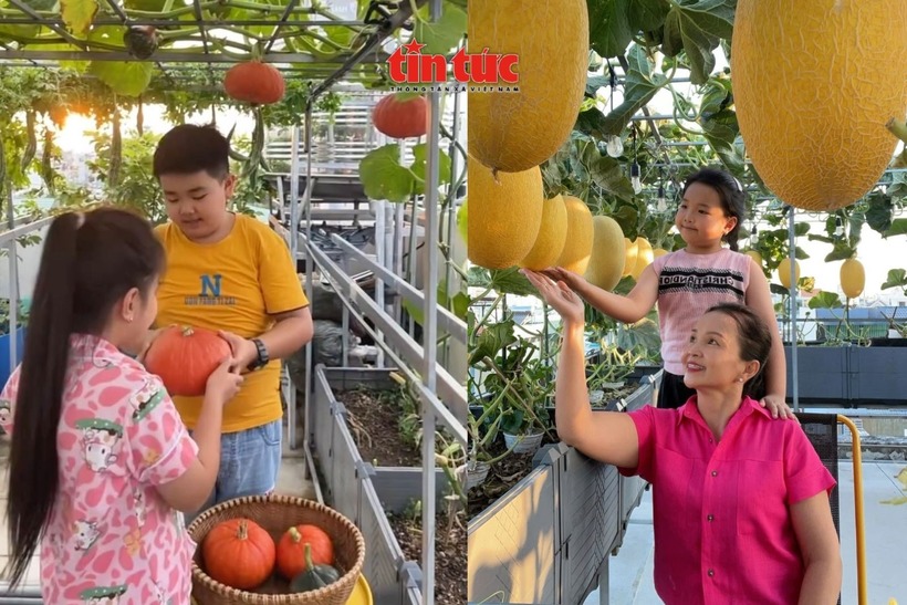Vượt ra ngoài giá trị của những rổ rau trái sạch, khu vườn trên cao đã trở thành một liệu pháp tinh thần vô giá đối với chị Tuyết Nhung. Mỗi buổi chiều tà, khi đứng giữa không gian xanh mát do chính tay mình tạo ra, mọi mệt mỏi và áp lực của cuộc sống đô thị dường như đều tan biến.