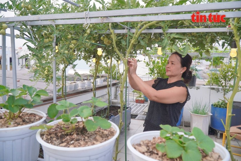Tình yêu với cây cối của chị Nhung bắt nguồn từ những năm tháng tuổi thơ tại vùng quê Gò Công, tỉnh Tiền Giang (cũ). Sinh ra trong một gia đình thuần nông, hình ảnh những luống rau xanh mướt và vườn cây ăn trái trĩu quả đã khắc sâu vào tâm trí chị.