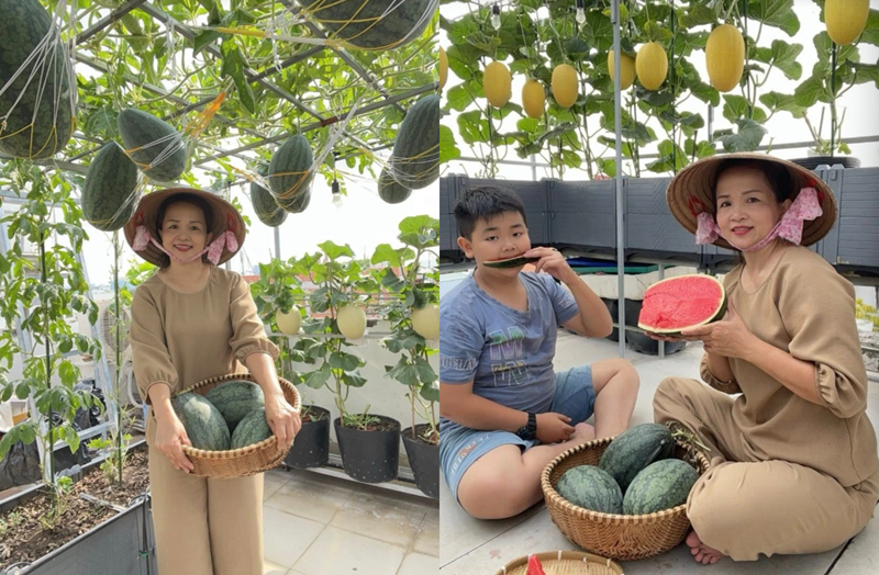 Để hiện thực hóa ước mơ đó, chị Nhung đã dành nhiều tâm huyết để thiết kế và sắp xếp khu vườn sân thượng một cách khoa học.