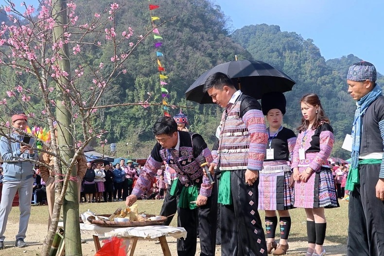 Lễ cúng cây nêu là nghi thức không thể thiếu trong trong lễ hội Gầu Tào. (Ảnh: Dân tộc & Phát triển)