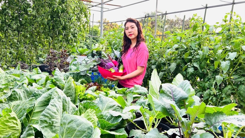 Khu vườn đang tràn ngập các loại rau củ xanh tốt của vụ đông như su hào, bắp cải, rau diếp cùng nhiều loại rau thơm và cà chua được trồng bao quanh lối đi.