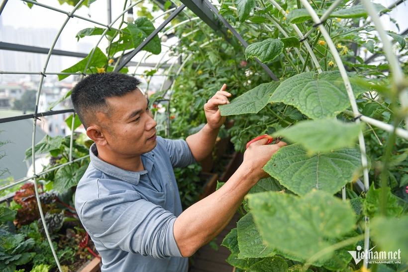 Anh tâm sự rằng ban đầu chỉ định làm vườn để gia đình sử dụng rau sạch, nhưng khi nhận thấy nhu cầu tìm kiếm sự bình an trong không gian xanh của người dân đô thị ngày càng lớn, anh đã quyết định phát triển thành công việc kinh doanh.