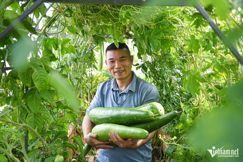 Ít ai ngờ rằng, chủ nhân của không gian nơi cá bơi dưới bồn, gà nhặt giun trong đất và rau xanh phủ kín mặt sân này từng có nhiều năm gắn bó với nghề kỹ sư cơ khí. Năm 2020, anh Giang quyết định rời bỏ công việc tại cơ quan nhà máy để rẽ hướng sang một hành trình mới, bắt đầu ngay từ chính sân thượng nhà mình.