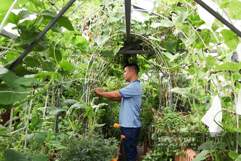 Với tư duy của một người làm kỹ thuật, anh Giang đã thiết kế khu vườn dựa trên những ý tưởng khoa học kết hợp cùng triết lý chiêm nghiệm sâu sắc về tự nhiên.