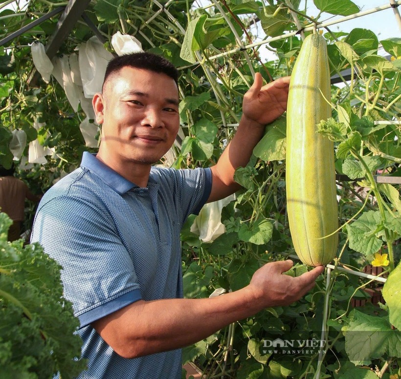 Anh Giang chia sẻ rằng cây cối trong vườn được trồng tự do, gối vụ liên tục để không bao giờ để đất trống, tạo nên một thảm thực vật sinh trưởng theo đúng quy luật tự nhiên.