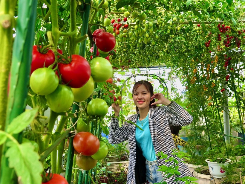 Trong suốt hơn một năm trời, chị Lê Thị Thu Luy, người phụ nữ tại Đà Nẵng chỉ nặng vỏn vẹn 40kg, đã cần mẫn tự mình bê từng bao đất lên tầng 3 để hiện thực hóa ước mơ về một khu vườn trên cao.