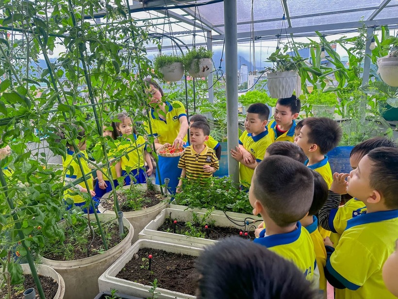 Không gian này thường xuyên đón các đoàn "nông dân nhí" từ các trường mẫu giáo hay bạn bè, người thân đến tham quan, trải nghiệm cảm giác tự tay hái quả và chụp ảnh kỷ niệm.