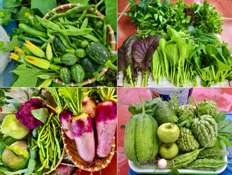 Để có được khu vườn như hiện tại, chị Luy đã trải qua không ít vất vả và cả những bài học xương máu. Thời điểm bắt đầu xây dựng vườn vào đúng giai đoạn dịch Covid-19 bùng phát năm 2021, chị vừa chăm con vừa tranh thủ lúc chồng đi làm xa để vận chuyển nguyên liệu. Dù vóc dáng nhỏ bé, chị vẫn kiên trì khuân từng túi đất 10kg lên tầng cao, tích tiểu thành đại suốt cả năm trời.