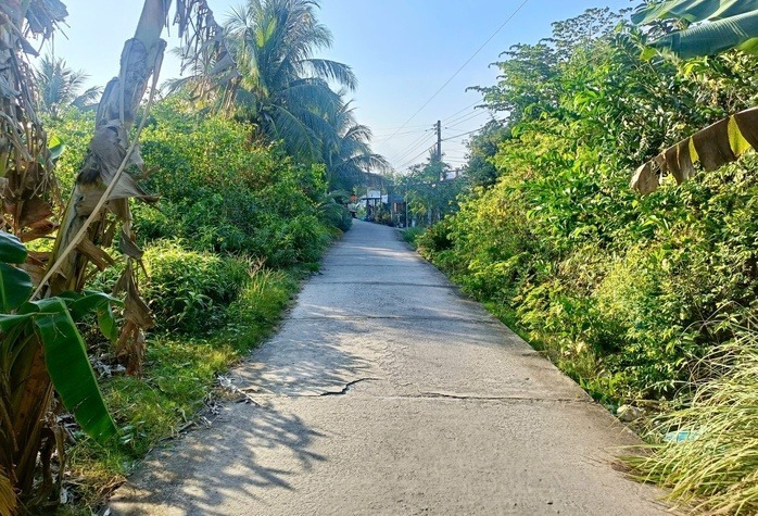 Con đường dẫn vào ngôi nhà của bà H.T.L. Ảnh: Người lao động