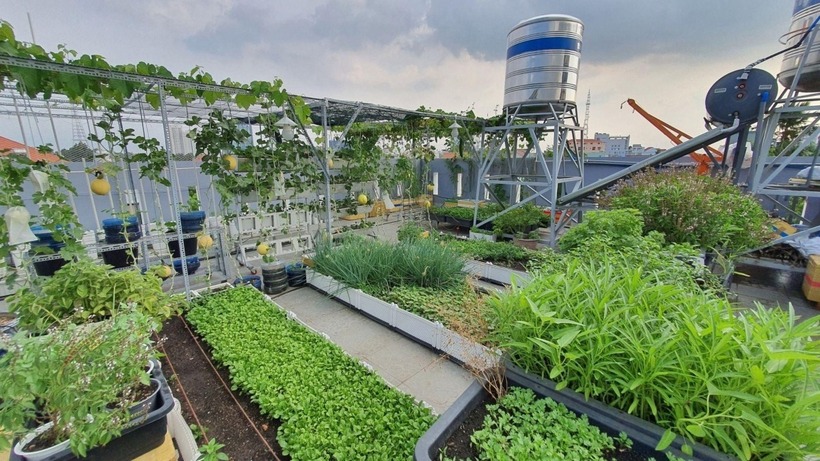 Đến tháng 3/2022, ông Mân quyết định bàn bạc cùng vợ để khai thác khu đất rộng 5.000 m2 của gia đình. Mục tiêu của ông là chinh phục những giống cây ăn quả độc đáo, hiếm thấy tại địa phương mà ông đã dành nhiều năm tìm kiếm từ các quốc gia thuộc châu Á và châu Mỹ.