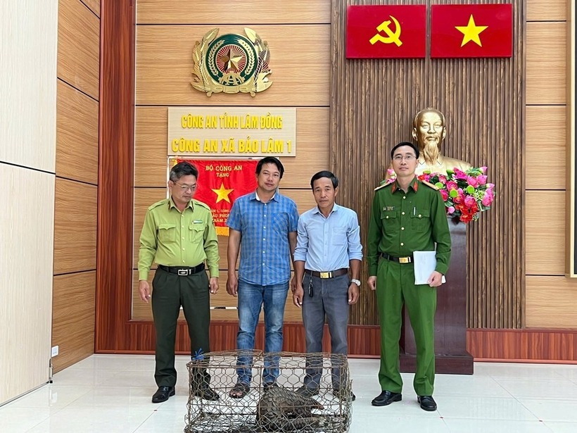 Công an xã Bảo Lâm 1 (tỉnh Lâm Đồng) tiếp nhận cá thể tê tê quý hiếm do người dân giao nộp. (Ảnh: Báo Văn Hóa)