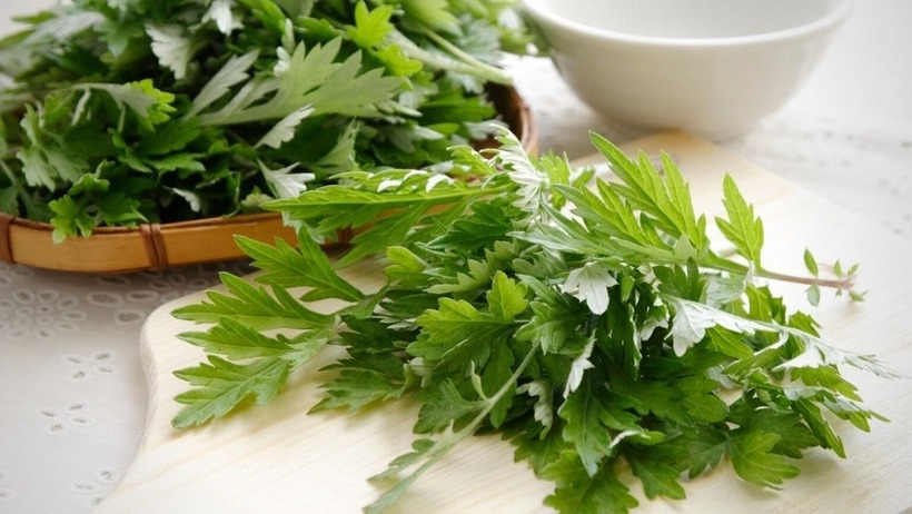 Sử dụng lá ngải cứu giảm đau xương khớp thường mang lại hiệu quả điều trị rất tốt.