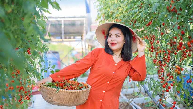 Xuất phát từ mong muốn cung cấp nguồn thực phẩm sạch cho gia đình và tận dụng rác thải hữu cơ làm phân bón bảo vệ môi trường, từ năm 2020, chị Hồng Thanh đã bắt tay vào xây dựng mô hình vườn treo trên cao.