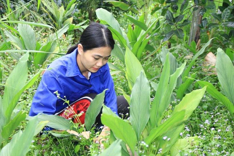 Là người sinh ra và lớn lên ở miền núi, cô hiểu những khó khăn mà đồng bào đang gặp phải nên rất trăn trở với sự phát triển của quê hương.
