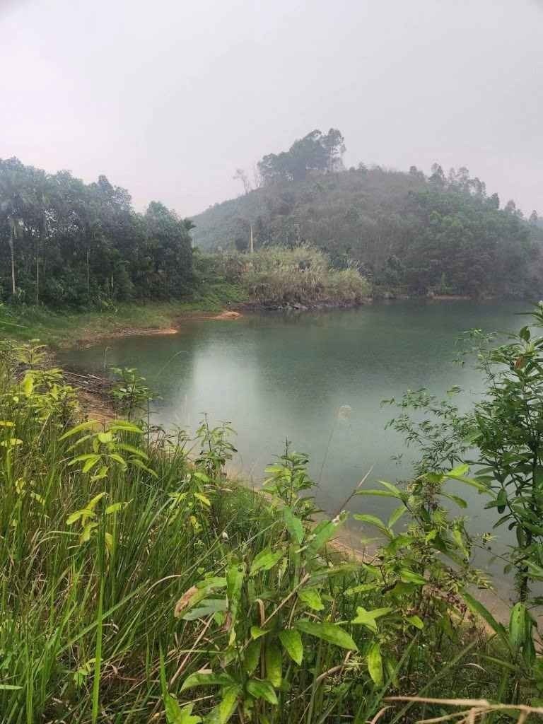 Khu vực xảy ra vụ việc. Ảnh: Lao động