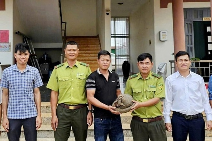 Lực lượng chức năng tiếp nhận cá thể tê tê từ anh Chóng. Ảnh: Báo Lâm Đồng