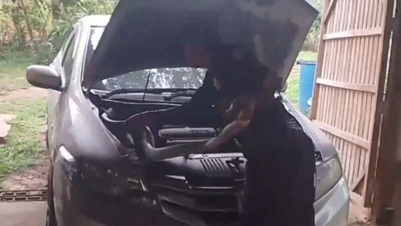 Con rắn khủng được đưa ra khỏi khoang động cơ của chiếc xe. Ảnh: Khaosod