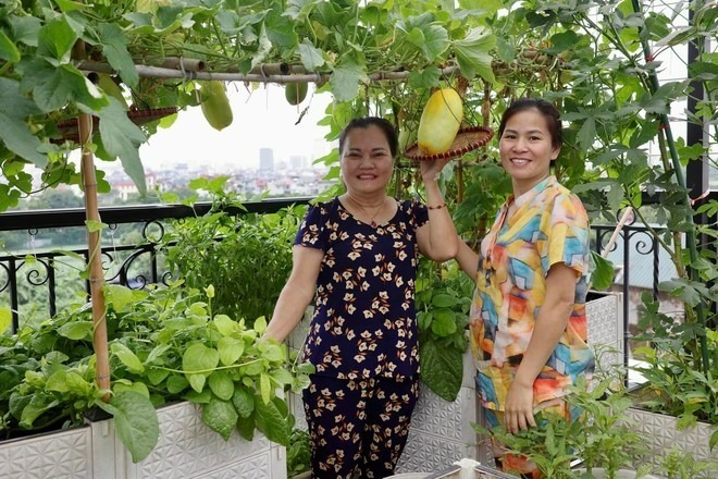Khu vườn không chỉ là nơi cung cấp thực phẩm sạch mà còn trở thành không gian nghỉ dưỡng, chữa lành và là nơi gắn kết bạn bè, con cháu trong những buổi sum họp gia đình ấm cúng.