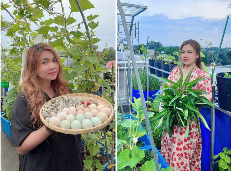 Chỉ sau ba tuần ổn định cuộc sống tại nơi ở mới, bà mẹ đảm đang này đã bắt tay vào phác thảo sơ đồ và thiết kế các khu vực chức năng cho khoảng sân thượng rộng 90m2. Với sự đồng lòng của chồng trong việc hàn kệ, dựng giàn, lắp chuồng và vận chuyển đất, khu vườn trong mơ của chị đã nhanh chóng hình thành.