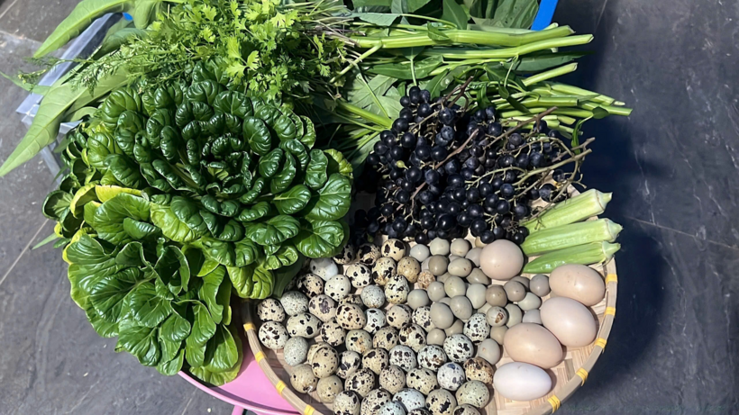 Không chỉ cung cấp thực phẩm, khu vườn còn là nơi nuôi dưỡng tâm hồn và gắn kết tình cảm gia đình. Giữa nhịp sống hối hả, mỗi sáng chị Hậu chọn cách lên sân thượng đón nắng, nghe tiếng gà cục tác thay vì lướt điện thoại.