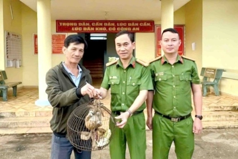 Công an xã Nhân Cơ tiếp nhận cá thể cù lần do người dân giao nộp. (Ảnh: Công an Lâm Đồng)