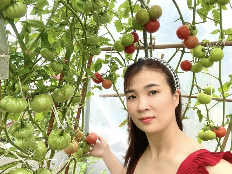 Hành trình phủ xanh không gian sống của gia đình chị Cao Thị Minh Ngọc, bắt đầu từ 3 năm trước. Xuất phát từ mong muốn có một góc thư giãn tại gia, vợ chồng chị bắt tay vào làm vườn trên sân tầng 2 với diện tích 25m2.