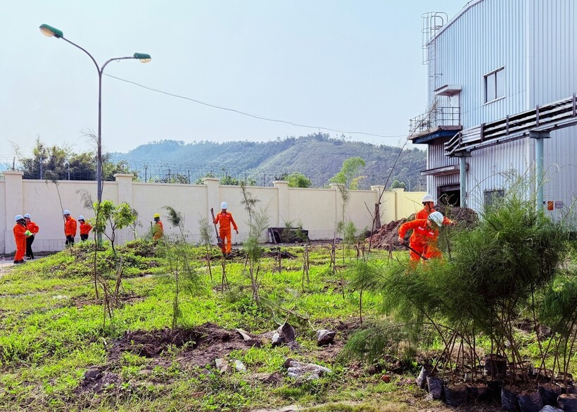Công ty Nhiệt điện Uông Bí phát động “Tết trồng cây đời đời nhớ ơn Bác Hồ” Xuân 2026 - 8