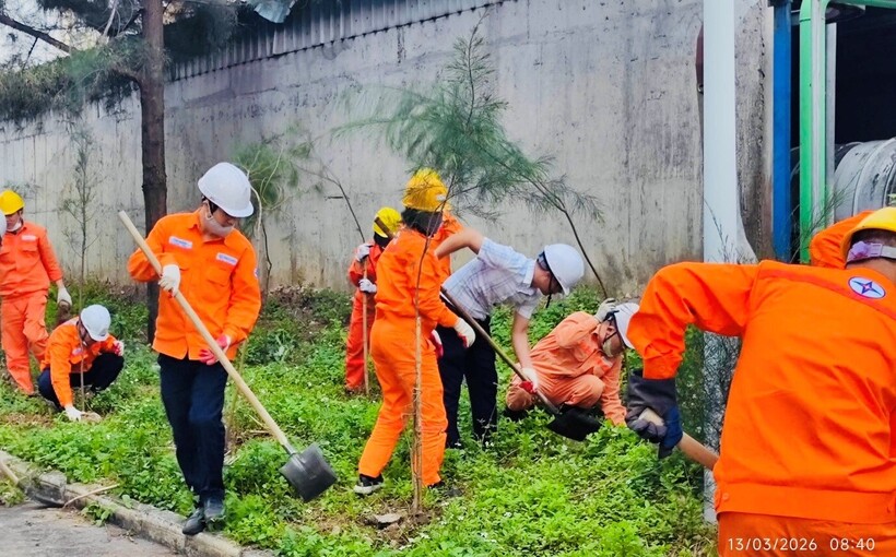 Công ty Nhiệt điện Uông Bí phát động “Tết trồng cây đời đời nhớ ơn Bác Hồ” Xuân 2026 - 9