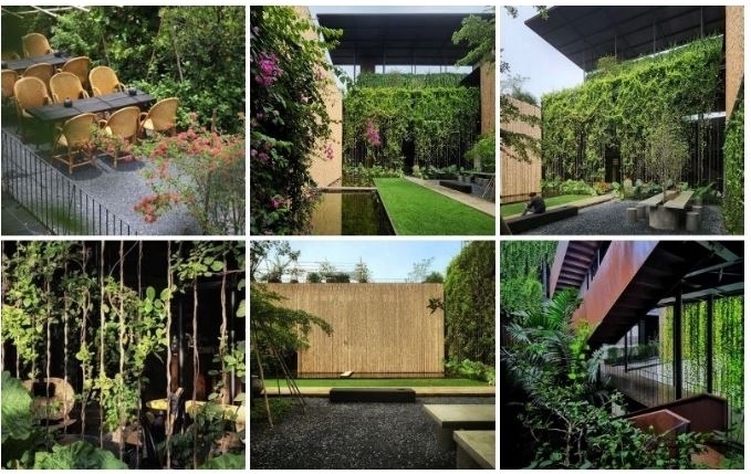 Mẫu nhà 2 tầng kết hợp kinh doanh cafe sân vườn đẹp ấn tượng. Ảnh: Wedo Architecture & Construction