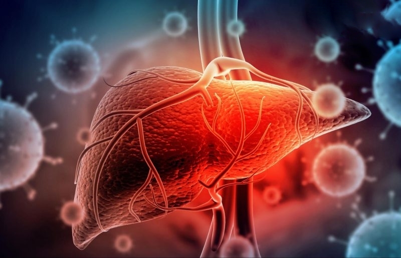 Ước tính có khoảng 8 triệu người tương đương 1/12 dân số mắc viêm gan virus B, C hoặc cả 2. Ảnh minh họa