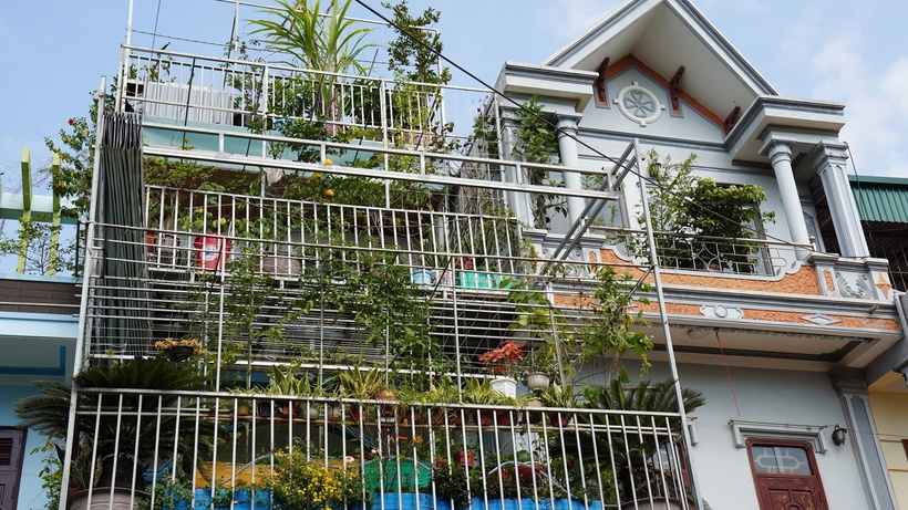 Sau khoảng 2 năm cải tạo, ngôi nhà không chỉ trở nên xanh mát mà còn giúp gia đình chủ động nguồn thực phẩm sạch với đủ loại rau trái, kết hợp nuôi cá và chăn nuôi đàn gà gần 50 con.