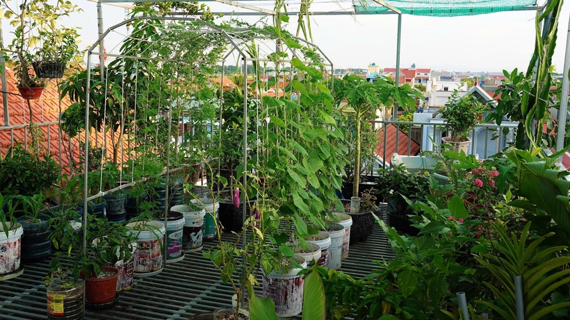 Anh Ngọc chia sẻ rằng lý do thôi thúc anh làm vườn trên cao là mong muốn có một cuộc sống xanh, sạch hơn, nơi cả gia đình có thể gần gũi với thiên nhiên ngay trong chính không gian sống của mình. Trước khi cải tạo, toàn bộ khu vực ban công và mái nhà đều lợp tôn, gây cảm giác nắng nóng và thiếu diện tích sinh hoạt.