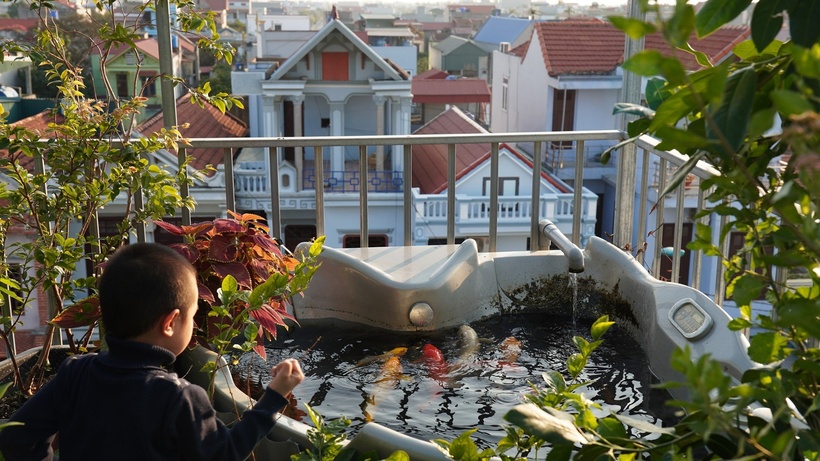 Hiện tại, khi khu vườn đã đi vào ổn định, mỗi ngày vợ chồng anh dành khoảng 2 giờ để chăm sóc, tưới nước và quan sát cây cối. Khu vườn không chỉ mang lại giá trị tinh thần, giúp các thành viên thêm gắn kết và cải thiện sức khỏe mà còn đem lại hiệu quả kinh tế thiết thực.