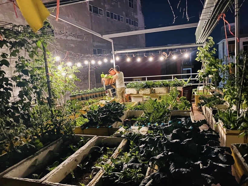 Khu vườn của chị Vũ Thơm không chỉ dừng lại ở một sở thích cá nhân mà còn lan tỏa cảm hứng sống xanh đến nhiều người xung quanh. Với chị, niềm vui đơn giản là được nhìn ngắm thành quả lao động của mình và hy vọng rằng mô hình vườn phố sẽ ngày càng nhân rộng, để mỗi ngôi nhà đều có thể sở hữu một khoảng xanh an lành như thế.