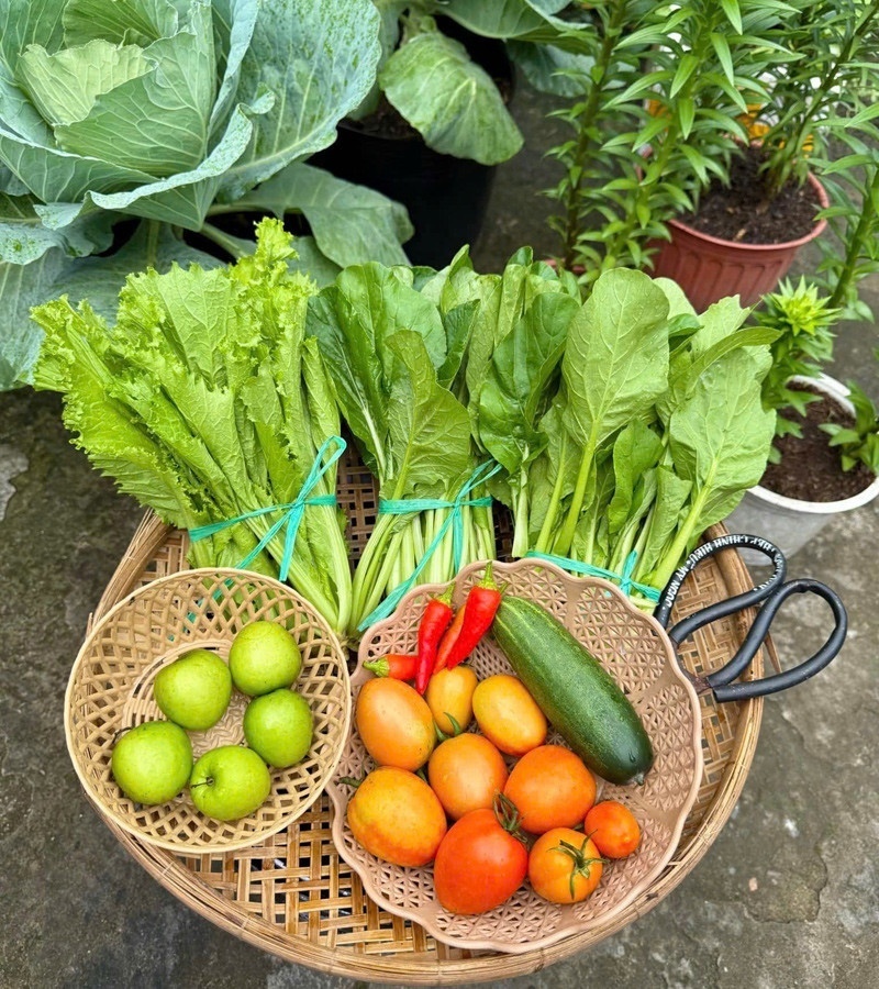 Động lực để Tú mở rộng khu vườn không chỉ đến từ sở thích cá nhân mà còn từ lòng trắc ẩn. Thời điểm đó, anh chủ trọ không may mắc bệnh ung thư nên phải nghỉ việc về nhà điều trị. Chứng kiến cảnh anh chủ mỗi ngày đều ra sân ngắm cây với vẻ mặt phấn khởi, Tú càng quyết tâm trồng thêm nhiều loại rau trái để người bệnh có thêm không gian xanh an ủi tâm hồn.