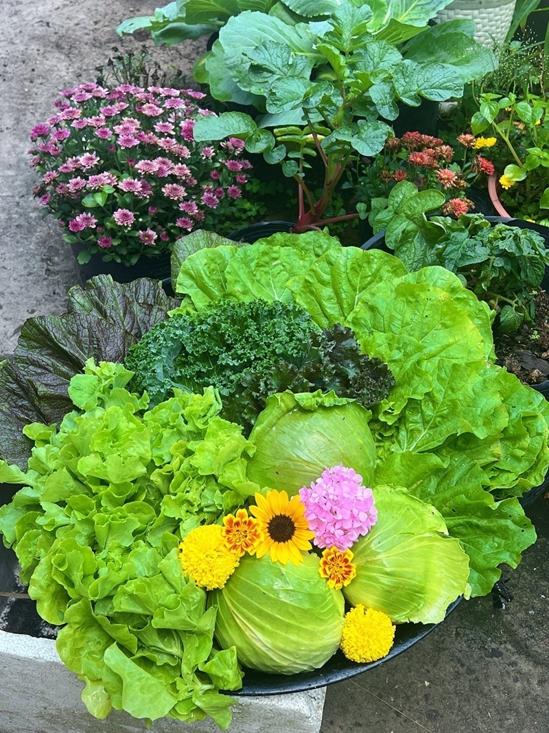 Hiện tại, việc chăm sóc vườn tược đã trở thành thói quen không thể thiếu trong sinh hoạt hàng ngày của Tú. Dù phải tăng ca muộn, anh vẫn miệt mài tưới tắm và chăm chút cho từng gốc cây trước khi nghỉ ngơi. Nhờ khu vườn này, bữa ăn của anh luôn đảm bảo rau sạch và còn dư dả để biếu tặng chủ trọ, đồng nghiệp cũng như hàng xóm xung quanh.